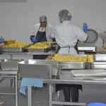 ananas-victoria-5-eme-gamme-2