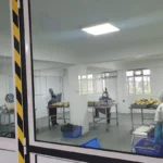 ananas-victoria-5-eme-gamme-7